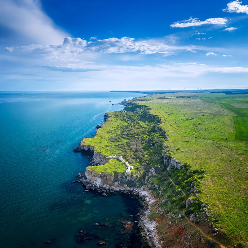aerial view